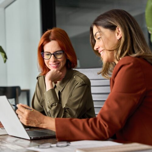 Two,Happy,Busy,Female,Employees,Working,Together,Using,Computer,Planning